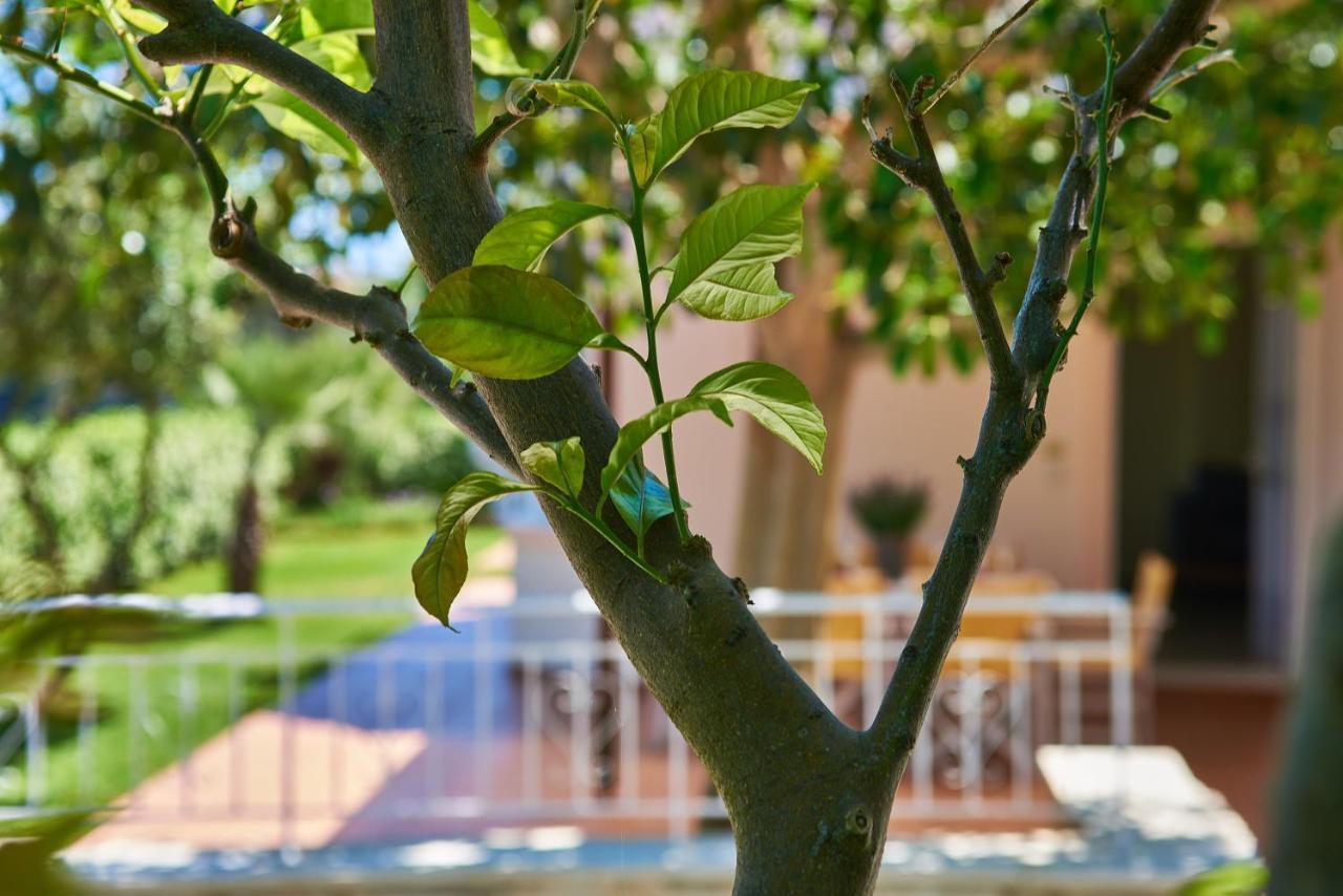 Villa Moma Palio Gerani ภายนอก รูปภาพ